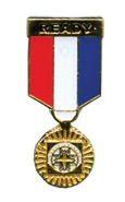 Gold Medal Hat Pin
