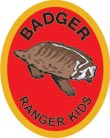Badger Award Patch
