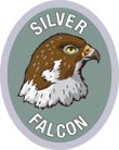 Discovery Rangers Advancement Patch - Silver Falcon