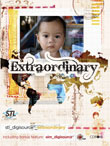 STL Digisource: Extraordinary