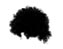 Afro Wig