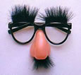 Nose Glasses