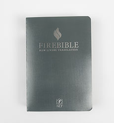 NLT FireBible, Grey Paperback