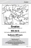 Sunlight Kids Lesson Book: Creation (May)
