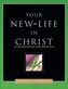 Your New Life in Christ - English