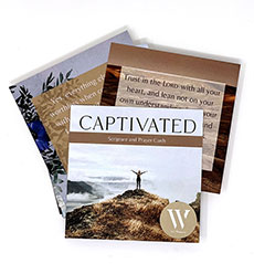 Captivated Prayer Cards