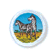 Zebras Unit Badge