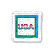 Stars U.S. Missions Unit Badge