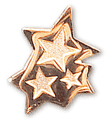 Stars Honor Sponsor Pin