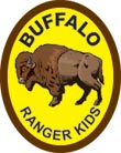 Buffalo Award Patch