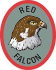 Discovery Rangers Advancement Patch - Red Falcon