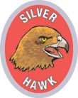 Discovery Rangers Advancement Patch - Silver Hawk