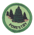 Forestry Merit (Green)