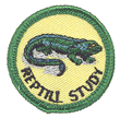 Reptile Study Merit (Green)