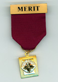 Royal Rangers District Medal of Merit - Medal