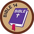 Bible Merit #14 (Brown)