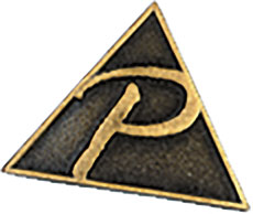 Bronze Pathfinder Award Pin