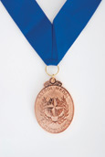 Patrol of Excellence Medallions Bronze